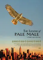 The Legend of Pale Male preview