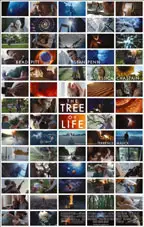 The Tree of Life preview